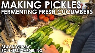 How to Make Pickles  Ferment Method  Black Gumbo [upl. by Melisande534]