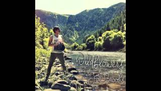 Wildflowers Tom Petty Cover  Joe Brooks [upl. by Normandy]