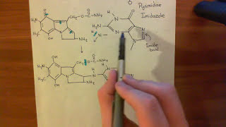 Mitomycin C Part 3 [upl. by Behn765]