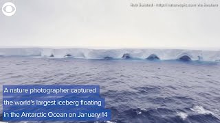 Worlds largest iceberg seen floating in Antarctic Ocean [upl. by Buhler]