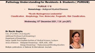 Pursue 17 E UL Acute Myelogenous Leukemia Classification  Morphology Flow Molecular [upl. by Ellehcir]