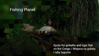 Fishing Planet Spots for goliaths and tiger fish on the Congo  Miejsca na goliaty i ryby tygrysie [upl. by Nepets]