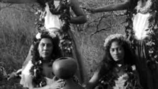 Hula Preserving Native Hawaiian Language and Culture [upl. by Anielram]