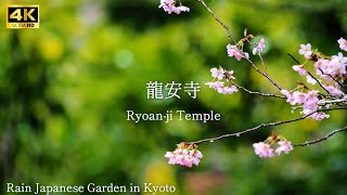 【 Ryoanji Temple 】🇯🇵Rain Japanese Garden in Kyoto The sound of rain [upl. by Annahsal463]