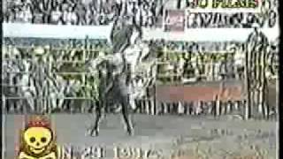 100 MUERTES DEL JARIPEO 232425EL TIBURON DEL GOLFORUBEN NEVAREZRUBEN LEON [upl. by Ahsila]