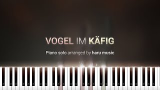 Vogel im Käfig  Synthesia Piano Tutorial [upl. by Butte]