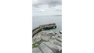 Clovelly Devon [upl. by Ecerahs]