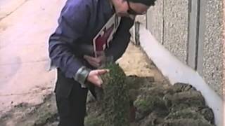 Eddie Vedder takes a walk around Wrigley Field 1992 RARE [upl. by Perren]