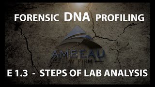 Forensic DNA Profiling  Episode 13  Steps in Lab Analysis [upl. by Zischke]