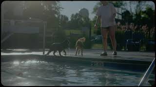 pool daze  sony a7s iii cinematic  tiffen glimmerglass [upl. by Rianna]