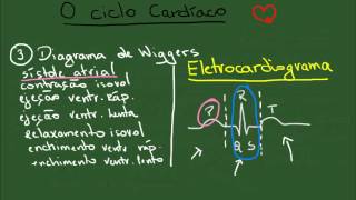 O Ciclo Cardíaco  Resumo  Fisiologia [upl. by Diehl]