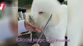 iGroom Magic Clay Powder [upl. by Ahsilahs554]