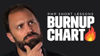 What is a Burnup Chart in Agile [upl. by Lothaire]