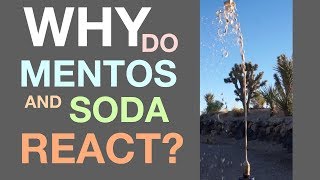 Why Mentos and Soda React [upl. by Timmie]