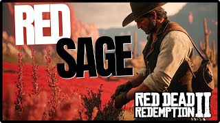 Red Sage Location  Red Dead Redemption 2 [upl. by Ase84]