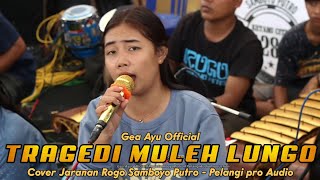 GEA AYU TRAGEDI MULIH LUNGO TERBARU‼️ COVER JARANAN Rogo Samboyo Putro 2023 [upl. by Acisset]