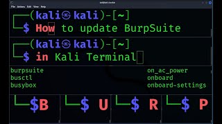 How to update BurpSuite from Kali Linux Terminal [upl. by Doley]