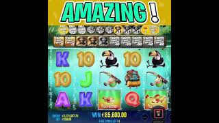 BIG BASS AMAZON XTREME SLOT ‼️ €250 MAX BET 😱 MASSIVE WIN shorts [upl. by Benjamen428]