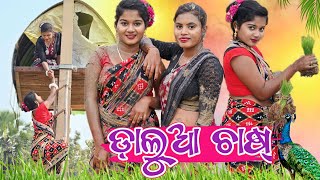 ଡ଼ାଲୁଆ ଚାଷ୍ 🌾 କେନ୍ତା ହେଲା   New Sambalpuri Comedy Video  Recent Viral Video sambalpuricomedy [upl. by Tereb23]