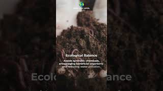 Improving Soil Fertility Through Natural Farming Practices [upl. by Tarrsus318]