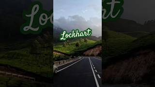 LockhartGap travel munnar shorts viral [upl. by Joris]