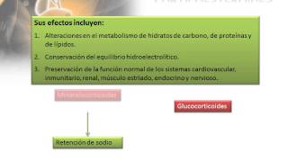 Laboratorio 02  Convulsiones Pentobarbital  Estricnina [upl. by Yehs913]