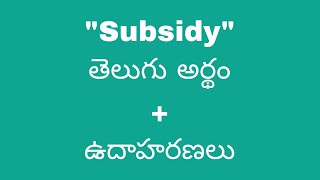 Subsidy meaning in telugu with examples  Subsidy తెలుగు లో అర్థం Meaning in Telugu [upl. by Asiole747]