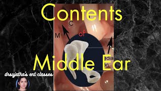 005 Middle Ear Anatomy Contents of Middle Ear Boundaries amp contents of middle ear [upl. by Samid]