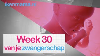 30 weken zwanger  ikenmamanl [upl. by Gus589]