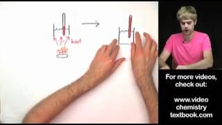 Food Calorimetry Lab Explanation [upl. by Winser511]