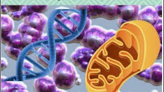 Enfermedad mitocondrial Resumen Estrés oxidativo [upl. by Kary]