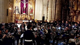 AM Santa Cecilia  Querubines del Cielo Estreno [upl. by Nallid]