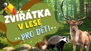 Zvířátka v lese a jejich zvuky 🐗🌲  Pro děti  Poznáš všechny lesní zvířátka [upl. by Yeca]