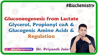 Gluconeogenesis from lactate glycerol propionyl coA and glucogenic amino acids and Regulation [upl. by Lazaro]