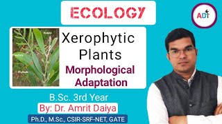 Morphological Adaptation in Xerophyte plants आकारिकी अनुकूलन DrAmrit Daiya 480p [upl. by Kramnhoj]