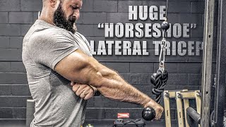 5 “Horseshoe” Tricep Exercises YOU’RE MISSING THESE [upl. by Ahsatel]