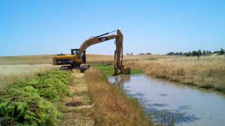 Parrot Feather invasive species  Myriophyllum aquaticum overtakes creek [upl. by Linkoski]