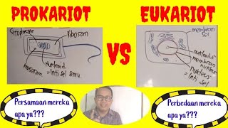 PROKARIOT VS EUKARIOT [upl. by Eened]