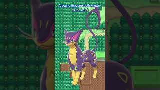 Pokémon Fact of the Day  Purrloin Liepard [upl. by Lyda]