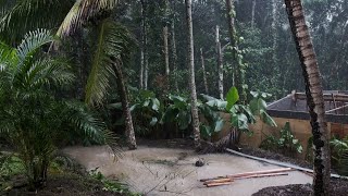 Rainy Day in Ubud Bali  Heavy Rain amp Flooding in Bali July 2023 [upl. by Lani]