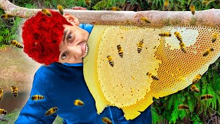 🔴Creando Miel con Mis Peligrosas Abejas Mascota🔴 [upl. by Arnold]