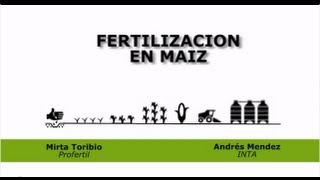 Estrategias de Fertilización en maíz [upl. by Toy930]