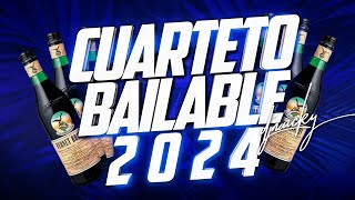 🔥🎉 CUARTETO BAILABLE 2024 REMIX  DJ NAICKY 2024 🎉🔥 [upl. by Gib]