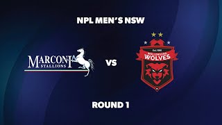 NPL Men’s NSW Round 1 Marconi Stallions FC v Wollongong Wolves FC [upl. by Airamahs]