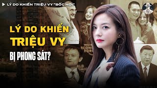 Lý Do Khiến Triệu Vy quotBốc Hơiquot Chỉ Sau 1 Đêm Là Gì  Vụ Án Có Thật [upl. by Aitram402]