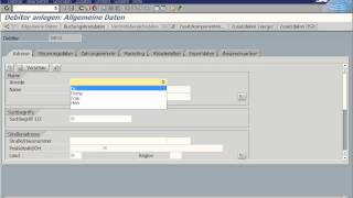 Debitor anlegen [upl. by Rachel]