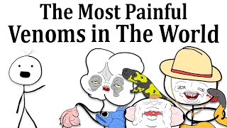 The Most Painful Venoms in The World [upl. by Blank]