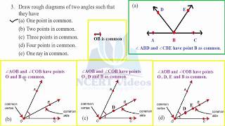 Basic Geometrical Ideas 43 [upl. by Revart370]