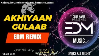 Akhiyaan Gulaab EDM Mix Bollywood Music 2024 ShinewineOfficial ClubMix2024 edmmusic [upl. by Nosittam368]