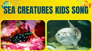 Learn 32 Sea Creatures Kids Song  Ocean Creatures Educational Song RealLife Marine Life Footage [upl. by Byrann]